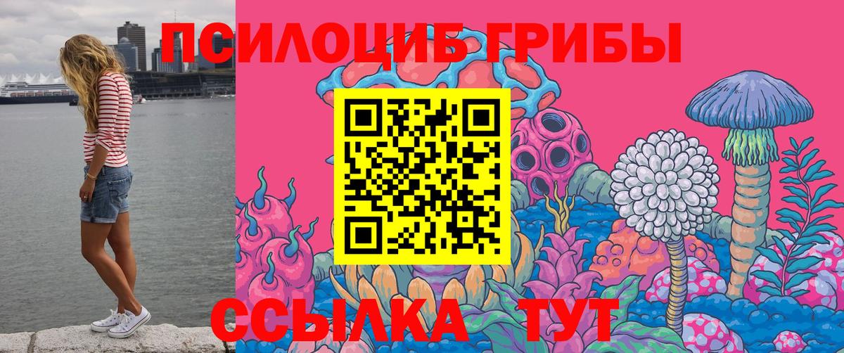 Галлюциногенные грибы MAGIC MUSHROOMS  Вход с VPN  Галлюциногенные грибы мухоморы  купить наркоту  Нерюнгри 